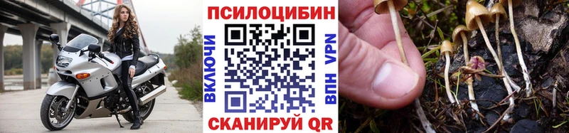 Галлюциногенные грибы Psilocybe Купить Белёв